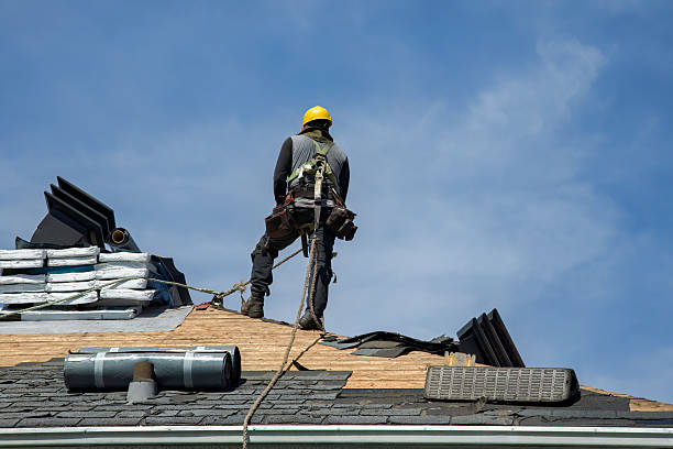 Professional Roof Replacement technician working in Achilles, VA